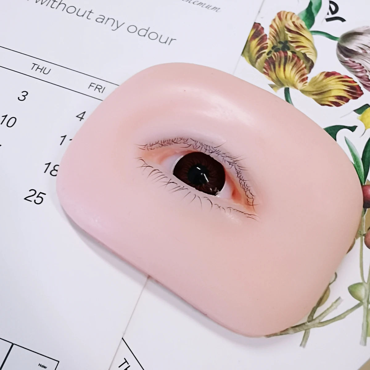 False Eyelash Mannequin Eyes – Lash Practice Head for Eyelash Training and Makeup Practice
