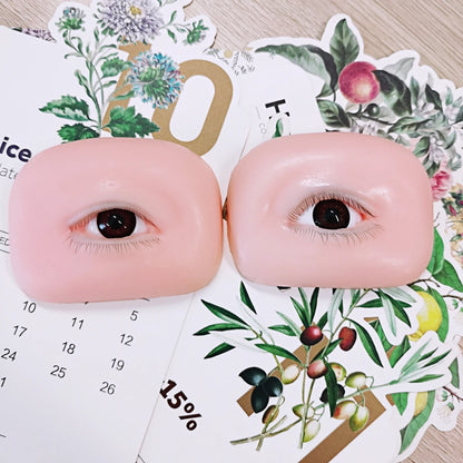 False Eyelash Mannequin Eyes – Lash Practice Head for Eyelash Training and Makeup Practice