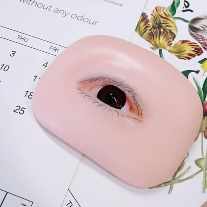 False Eyelash Mannequin Eyes – Lash Practice Head for Eyelash Training and Makeup Practice
