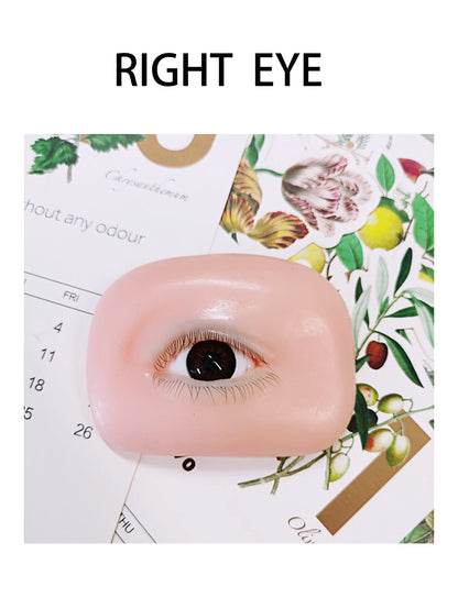 False Eyelash Mannequin Eyes – Lash Practice Head for Eyelash Training and Makeup Practice