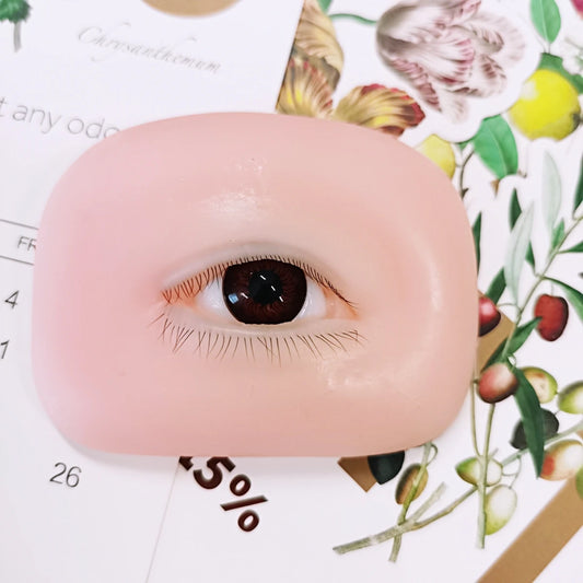 False Eyelash Mannequin Eyes – Lash Practice Head for Eyelash Training and Makeup Practice