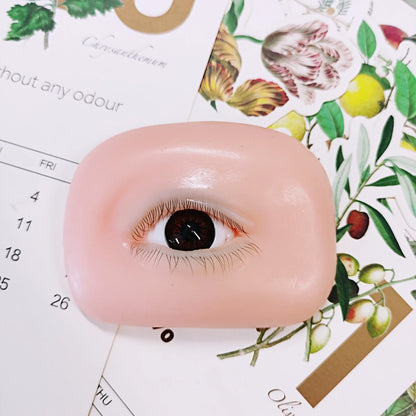 False Eyelash Mannequin Eyes – Lash Practice Head for Eyelash Training and Makeup Practice