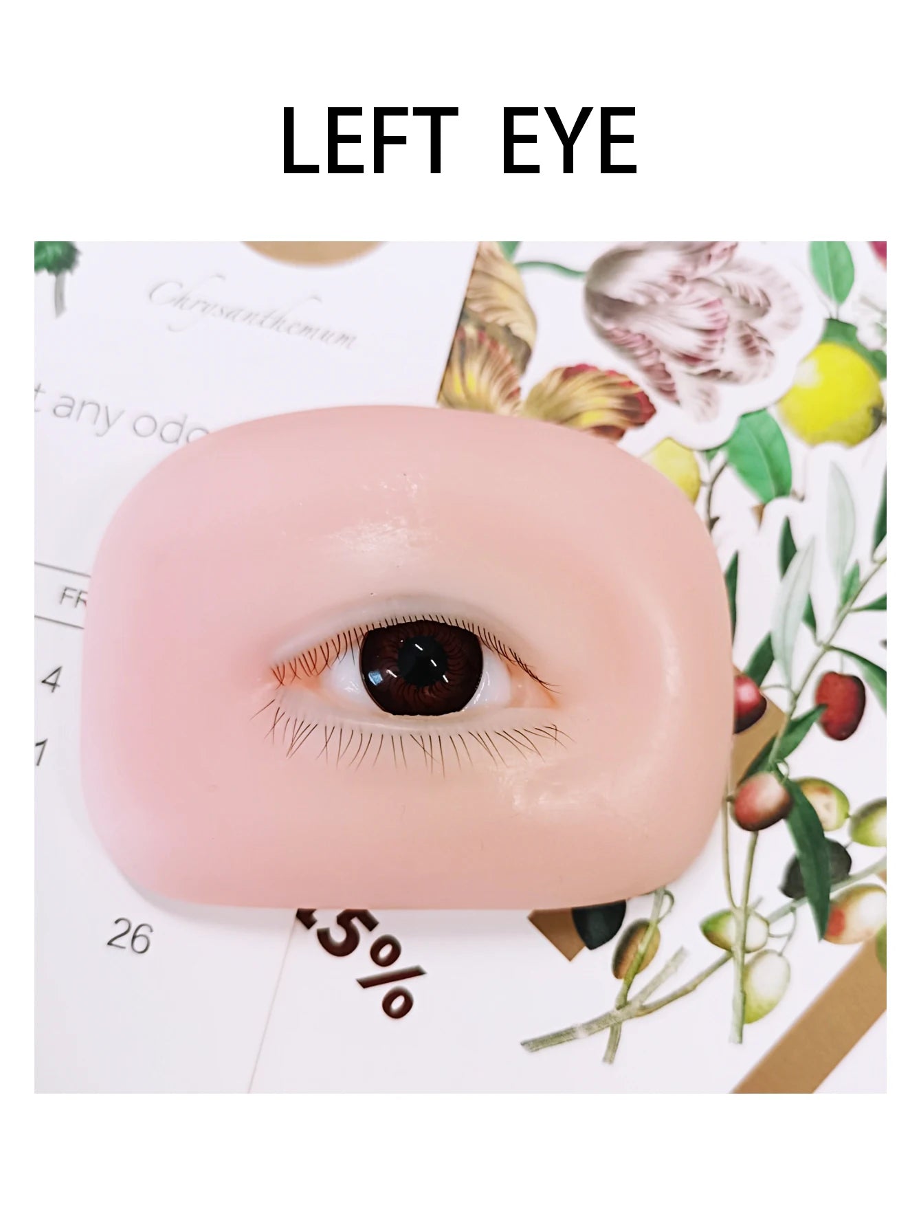 False Eyelash Mannequin Eyes – Lash Practice Head for Eyelash Training and Makeup Practice