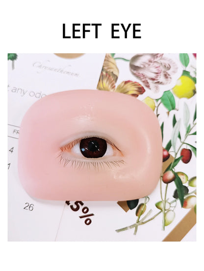False Eyelash Mannequin Eyes – Lash Practice Head for Eyelash Training and Makeup Practice